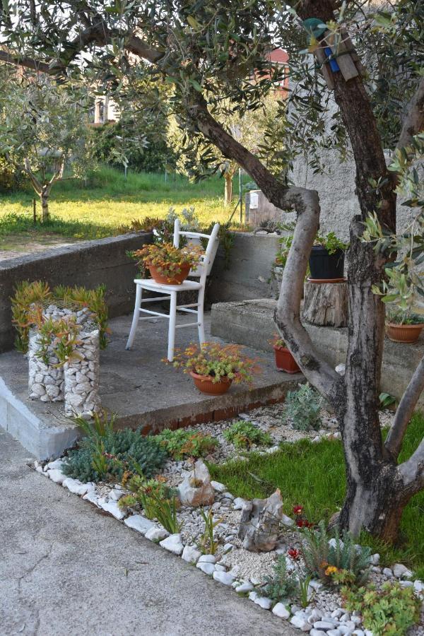 Greenvine Apartment Задар Екстериор снимка