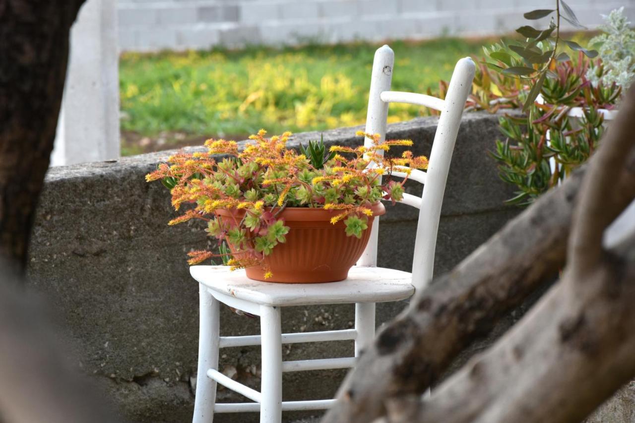 Greenvine Apartment Задар Екстериор снимка